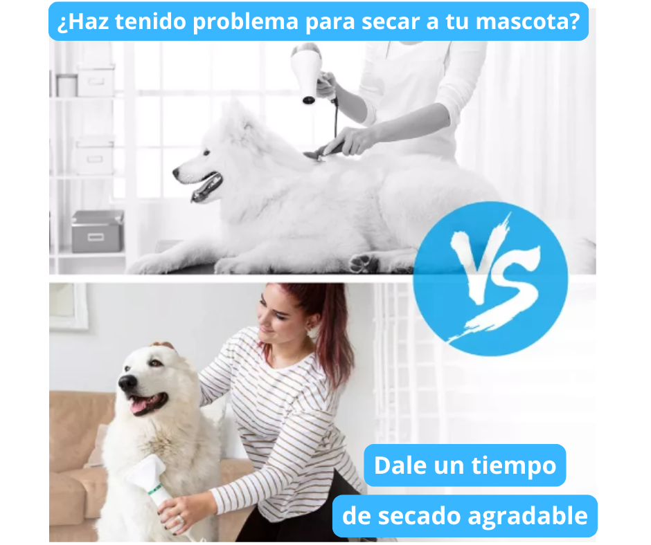CEPILLO SECADOR DE MASCOTA
